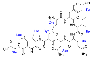 1024px-Oxytocin.svg